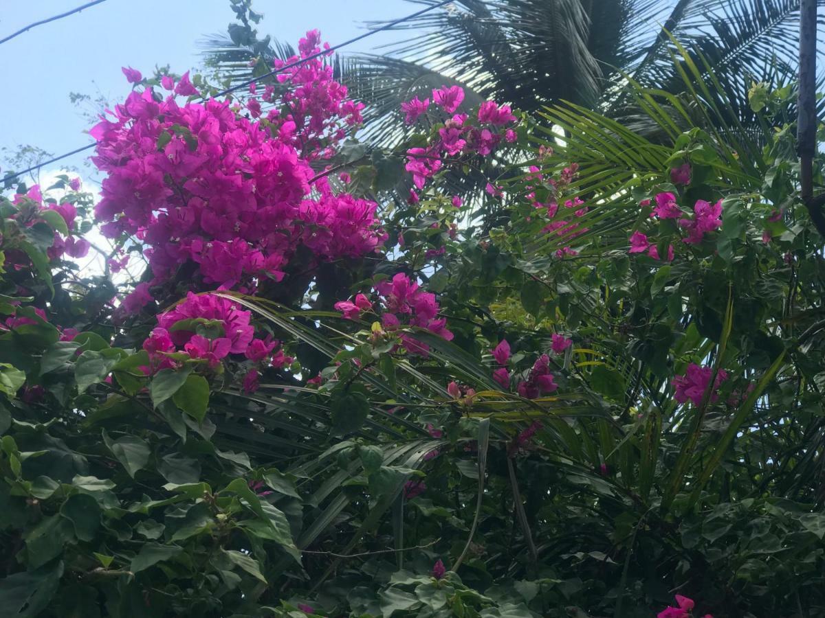 Pousada Santa Barbara Marudá Buitenkant foto
